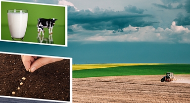 2,8 Milyar Liralık Tarımsal Destek Ödemesi Çiftçilerin Hesaplarında!