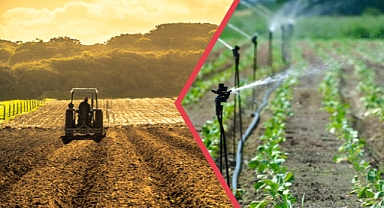 321 Milyon Liralık Tarımsal Destekleme Ödemesi Çiftçilerin Hesaplarına Aktarılıyor