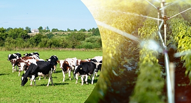 471 Milyon Liralık Tarımsal Destek Bugün Çiftçilerin Hesaplarında!