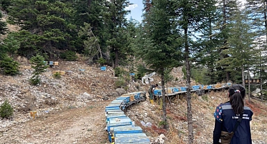 Karaman’da Evcil Hayvanlar Kayıt Altına Alınıyor, Arıcılık Desteklemeleri İçin Kovan Tespitleri Sürüyor