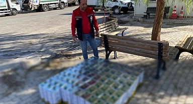 Uygun Olmayan 410 Litre Zeytinyağı İmha Edildi