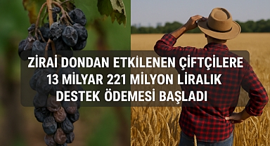 Zirai Dondan Etkilenen Çiftçilere 13 Milyar 221 Milyon Liralık Destek Ödemesi Başladı