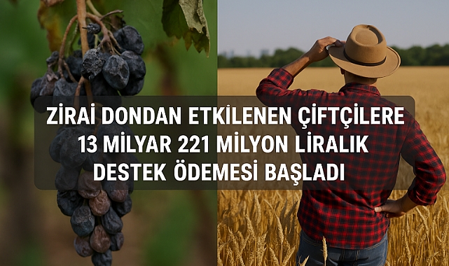 Zirai Dondan Etkilenen Çiftçilere 13 Milyar 221 Milyon Liralık Destek Ödemesi Başladı