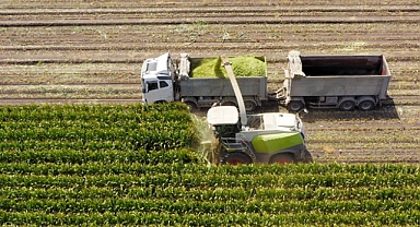 306 Milyon Liralık Tarımsal Destek Ödemesi Çiftçilerin Hesaplarına Aktarılıyor