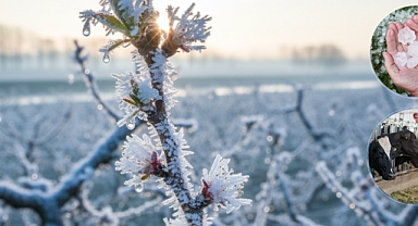 Ekim Ayında Üreticiye 11,6 Milyar Lira Hasar Tazminatı Ödendi