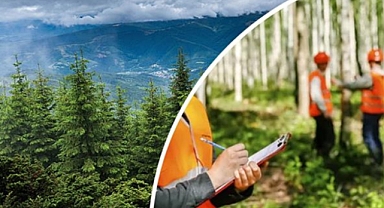 Orman Genel Müdürlüğü 496 Sözleşmeli Personel Alacak