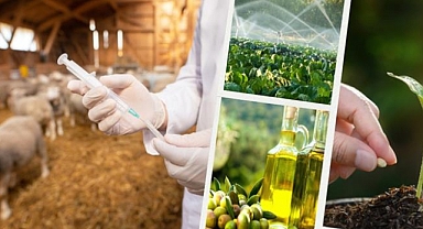 Tarımsal Destek Ödemelerinde 711 Milyon TL Çiftçilerin Hesaplarında