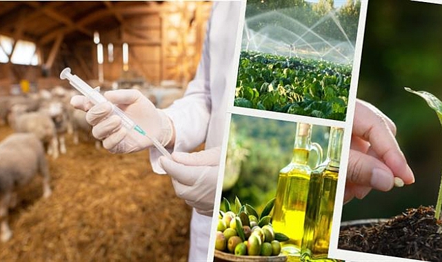 Tarımsal Destek Ödemelerinde 711 Milyon TL Çiftçilerin Hesaplarında