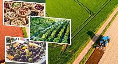 Yaklaşık 332 Milyon Liralık Tarımsal Destek Ödemesi Çiftçilerin Hesaplarına Aktarılıyor