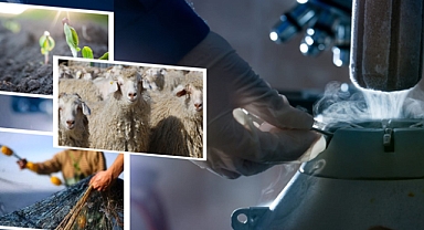 1,1 Milyar Liralık Tarımsal Destekleme Ödemesi Çiftçilerin Hesaplarına Aktarılıyor