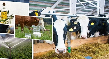 Çiftçilere 2 Milyar 5 Milyon Liralık Tarımsal Destek Bugün Hesaplarda