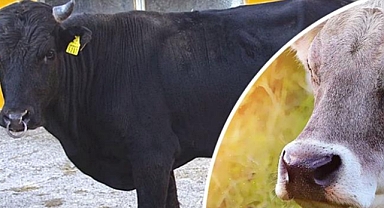 “Halk Elinde Islah Projeleri”ne 2,7 Milyar Lira Destek Sağlandı