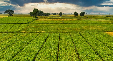 IPARD-III Kapsamında 156 Yerel Eylem Grubuna 2,2 Milyar Lira Hibe Desteği