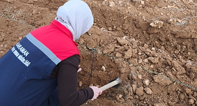 Karaman’da Bağ Tesisi Ziyareti: İl Müdürü Bulut Üreticilere Bereketli Sezon Diledi