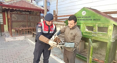 Karaman’ın Doğal Hayatı Güvenli Ellerde