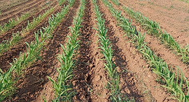 KMÜ’lü Akademisyene Royal Academy of Engineering’den Uluslararası Hibe Desteği