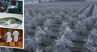 TARIM VE ORMAN BAKANI YUMAKLI: 1,7 MİLYAR TL DESTEKLEME ÖDEMESİ BUGÜN ÇİFTÇİLERİN HESAPLARINA AKTARILIYOR