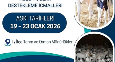 2025 Yılı 1. Dönem Kuzu/Oğlak ve Buzağı Destekleme İcmalleri Askıya Çıktı