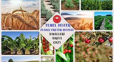 2025 Yılı Temel Destek ve Planlı Üretim Desteği İcmalleri Askıya Çıkarıldı