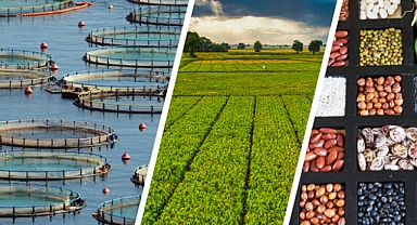 255 Milyon Liralık Destekleme Ödemesi Çiftçilerin Hesaplarına Aktarılıyor