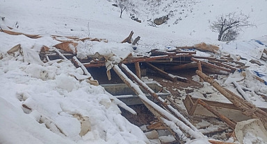 Başyayla’da Yoğun Kar Nedeniyle Hayvan Ağılı Çöktü