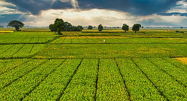 Çiftçilere 1,6 Milyar Liralık Destek Ödemesi Yapılacak