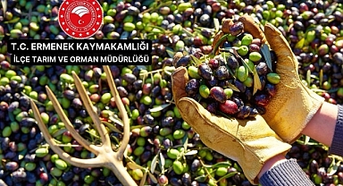 Ermenek’te Üreticilere Yönelik 3 Günlük Zeytincilik Eğitimi Düzenlenecek