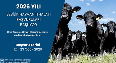 Karaman’da 2026 Yılı Besilik Hayvan İthalatı Başvuruları Başlıyor