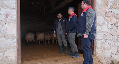 Karaman İl Tarım’dan Köylerde Hayvancılık İşletmelerine Denetim