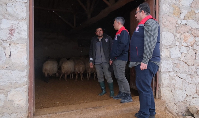 Karaman İl Tarım’dan Köylerde Hayvancılık İşletmelerine Denetim