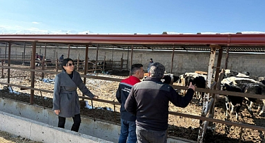 Karaman’ın En Büyük Besi İşletmelerinden Birine Yerinde İnceleme