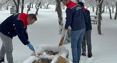 Kış Gününde Doğaya Yürek Isıtan Destek