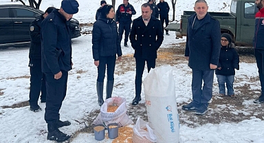 Yaban Hayvanları İçin Doğaya Yem Bırakıldı