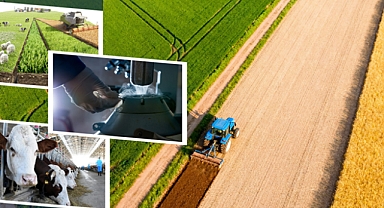 Yaklaşık 227 Milyon Liralık Tarımsal Destekleme Ödemesi Hesaplara Aktarılıyor