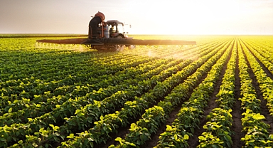 129,3 Milyon Liralık Tarımsal Destek Ödemesi Hesaplara Aktarılıyor