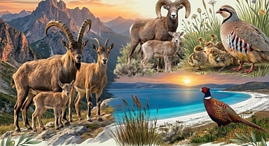 2025-2026 Av Sezonu 1 Mart İtibarıyla Sona Erdi