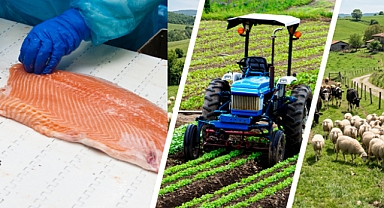 IPARD III Programı 2026 Yılı Çağrı Takvimi Yayımlandı: 241 Milyon Avro Hibe Desteği