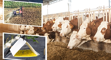 351 Milyon Liralık Tarımsal Destek Çiftçilerin Hesaplarına Aktarılıyor