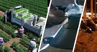 Çiftçilere 17,4 Milyar Liralık Destek Ödemesi Başladı