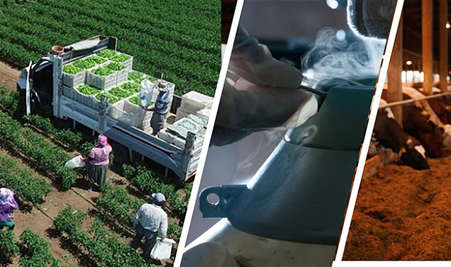 Çiftçilere 17,4 Milyar Liralık Destek Ödemesi Başladı