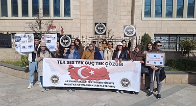 Karaman’da “Neredeler?” Sorusuyla Hayvanların Akıbeti Gündeme Taşındı