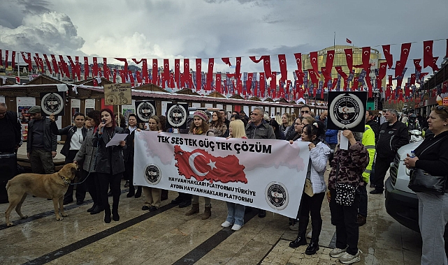 Karaman’da “Neredeler?” Sorusuyla Hayvanların Akıbeti Gündeme Taşındı