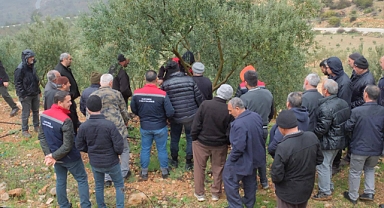 Karaman'da Zeytin Üreticilerine Yönelik Eğitim Programı Tamamlandı