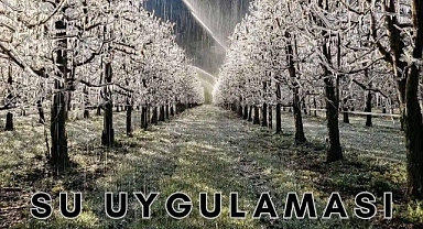 Meyve Üreticilerine Don Uyarısı: Gece Saatlerinde Risk Artıyor