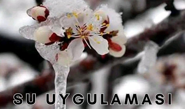 Meyve Üreticilerine Don Uyarısı: Gece Saatlerinde Risk Artıyor