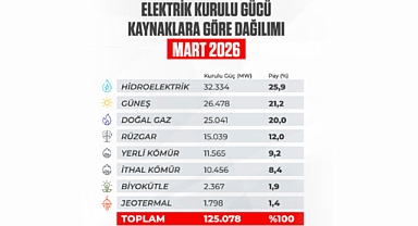 Türkiye’nin Elektrik Kurulu Gücü 125 Bin Megavatı Aştı