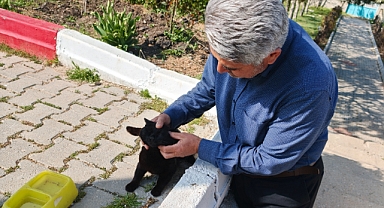 Vali Halil Nimetoğlu İlkokulu'nda Eğitim, Sanat ve Doğa İç İçe