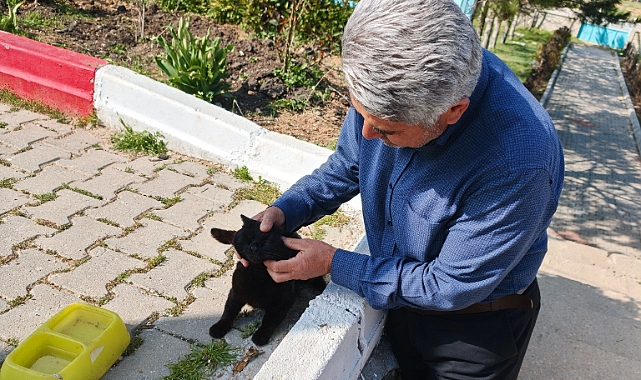 Vali Halil Nimetoğlu İlkokulu'nda Eğitim, Sanat ve Doğa İç İçe
