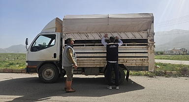 Karaman'da Kurban Bayramı Öncesi Hayvan Sevk Denetimleri Sürüyor