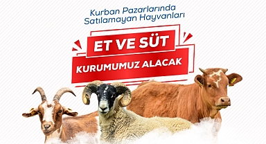 Satılamayan Kurbanlıkları Et ve Süt Kurumu Satın Alacak